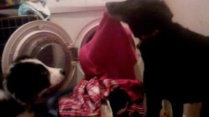 Inca taught him how to do laundry